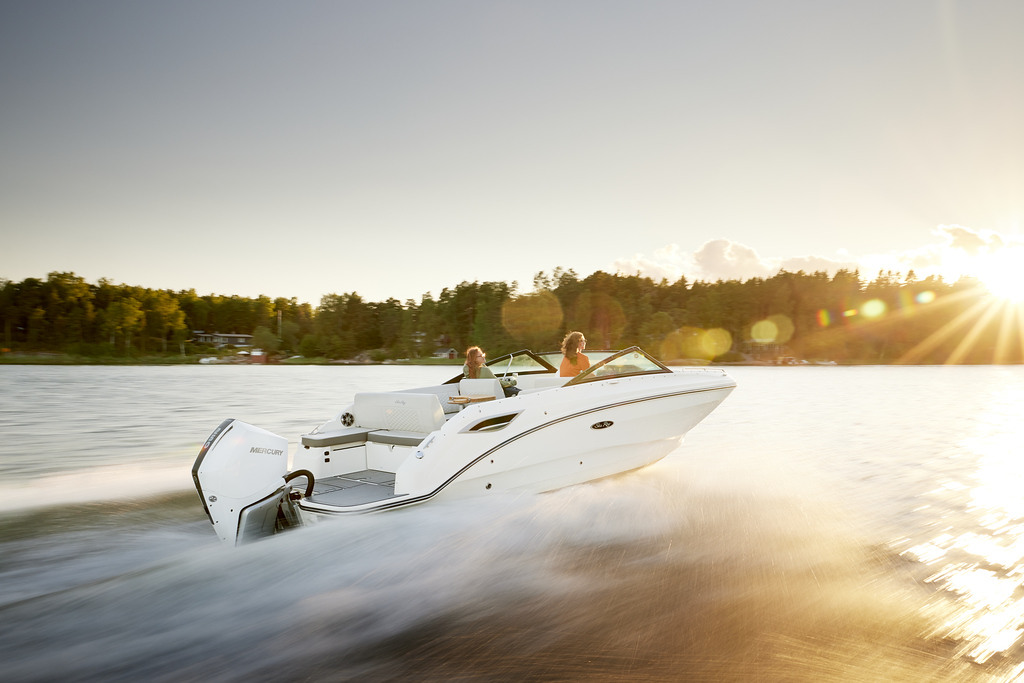 Searay 2025 SDX motorcsónak eladó akció